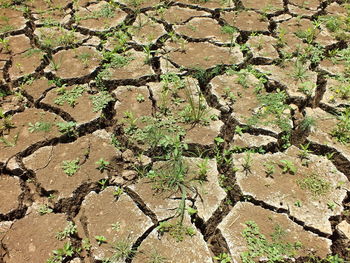 Full frame shot of cracked wall