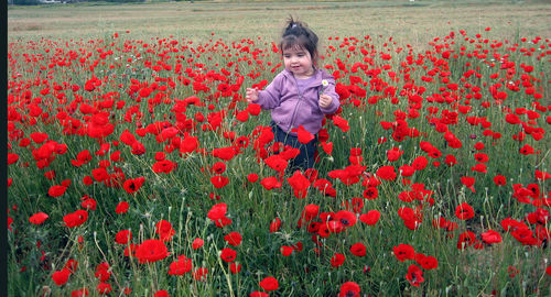 Cute girl standing amidst red flowering field