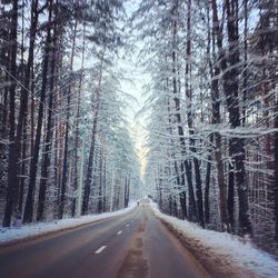 Road amidst trees in forest during winter