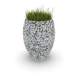 Close-up of potted plant against white background