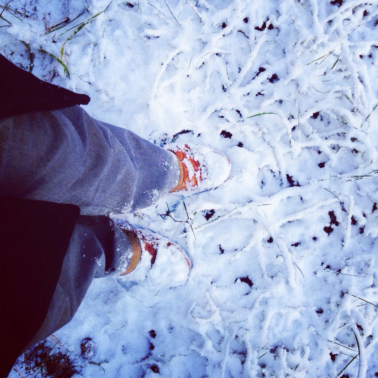 winter, cold temperature, snow, season, weather, covering, frozen, white color, nature, covered, day, unrecognizable person, high angle view, lifestyles, outdoors, field, tranquility, beauty in nature