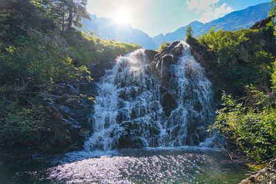 Scenic view of waterfall in forest