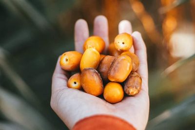 Close-up of hand holding orange