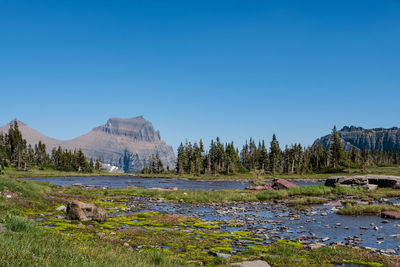 Scenic view of lake against clear blue sky