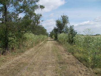 Trail amidst trees on field against sky