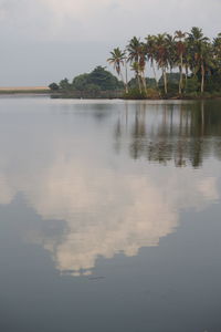 Reflection of trees in calm lake