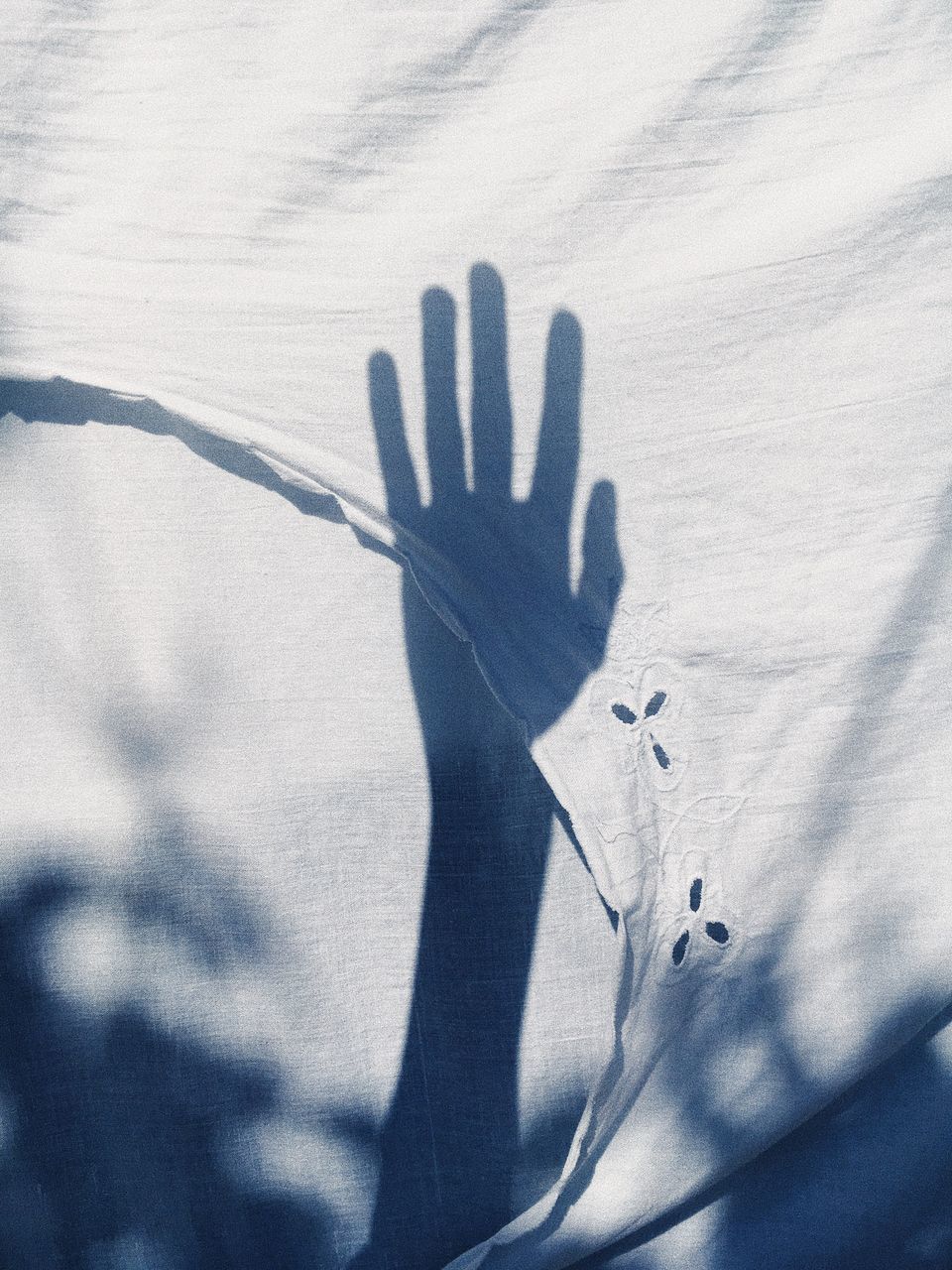 SHADOW OF PERSON HAND ON SNOW