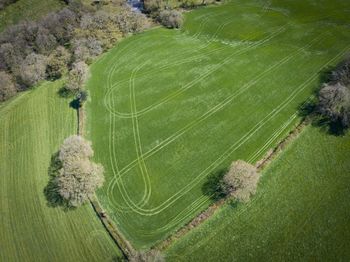 High angle view of green landscape