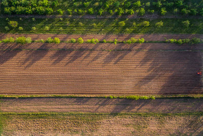 High angle view of vineyard