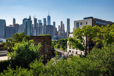 View of trees and buildings in city