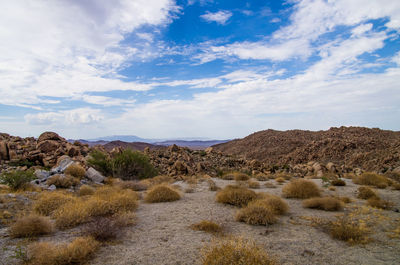 Scenic view of desert against sky