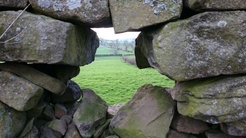 Rocks on stone wall