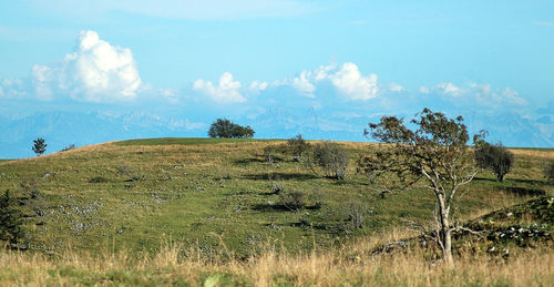 Green hill against cloudy sky