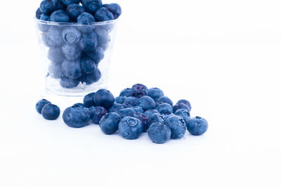Blackberries against white background