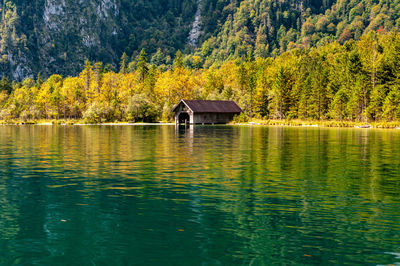 Scenic view of lake and trees in forest