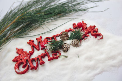 High angle view of red flowering plant on table