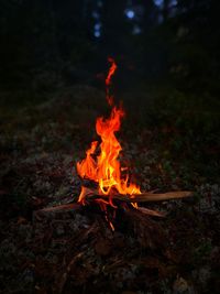 Bonfire on wooden structure in field at night