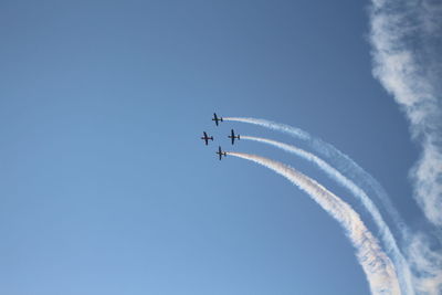 Low angle view of bird flying in sky