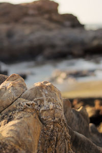 Close-up of rock formation