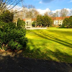 Trees on grassy landscape with house in background