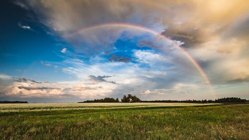Scenic view of rainbow over field against sky
