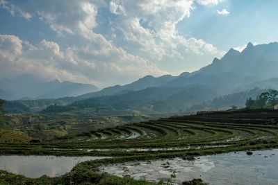 Scenic view of agricultural field against sky