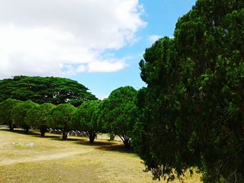 Trees on landscape against cloudy sky