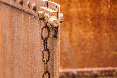 Close-up of spider web on rusty metallic gate with chain