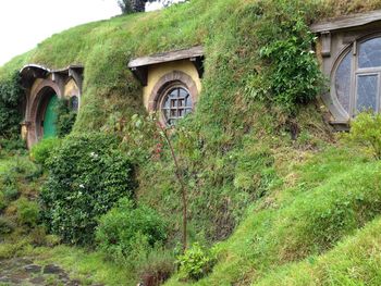 Plants and old house on field