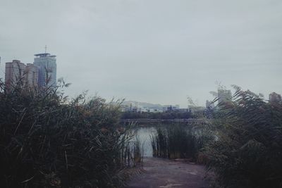Footpath amidst buildings against sky