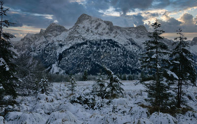 Panoramic view of trees and mountains against sky