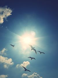 Low angle view of seagulls flying in sky