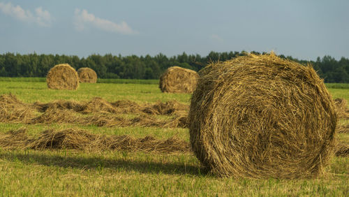 Hay bales on field against sky