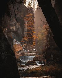 Bohemian switzerland, stunning moody landscapes photography of the river in forest