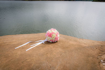 High angle view of pink flower on table by sea
