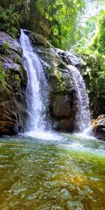 Scenic view of waterfall in forest