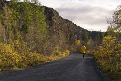 Rear view of woman walking on road along trees