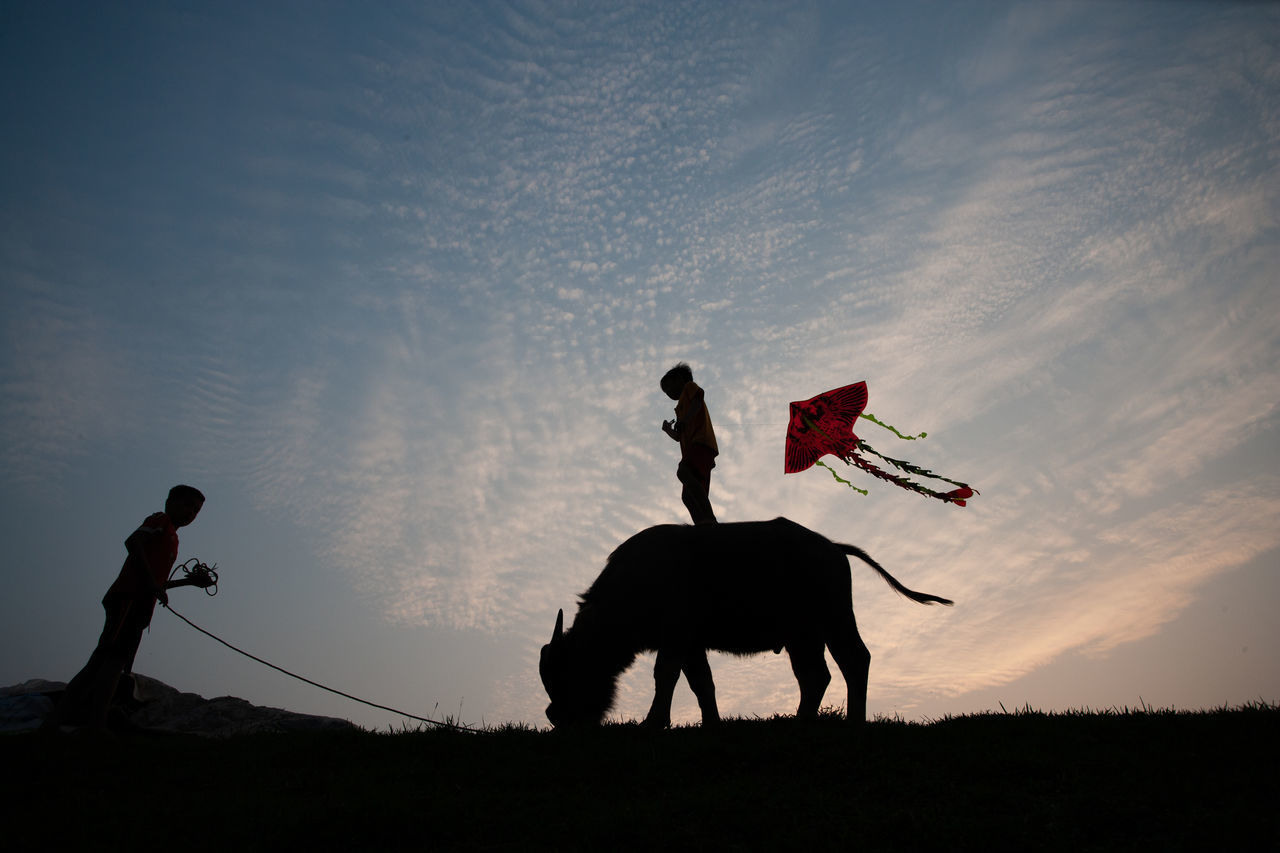 SILHOUETTE MEN ON FIELD AGAINST SKY