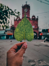 Close-up of hand holding leaf during autumn