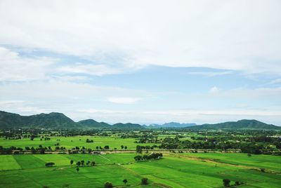 Flock of sheep grazing on field against sky