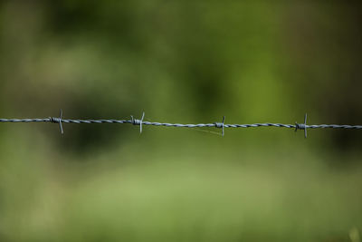 Close-up of barbed wire against blurred background