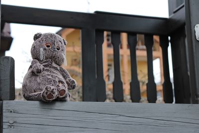 Low angle view of stuffed toy on balcony