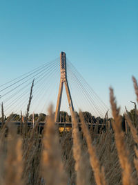 Low angle view of suspension bridge against clear blue sky