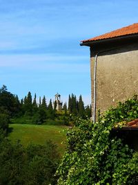 Plants and trees by building against sky