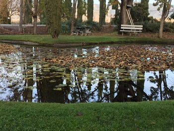 Pond in park