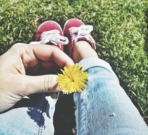 Low section of woman wearing shoes on grass