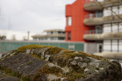 Close-up of rocks by sea against buildings