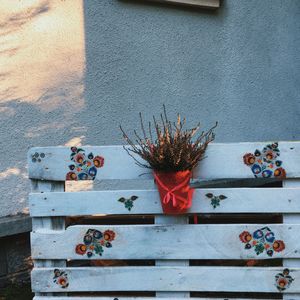 Low angle view of potted plants on wall