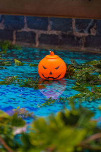 Close-up of pumpkin floating on water