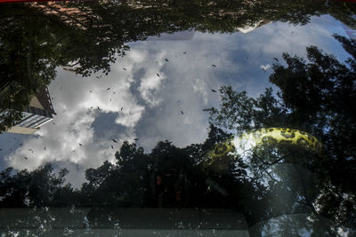 Trees by lake against sky during rainy season